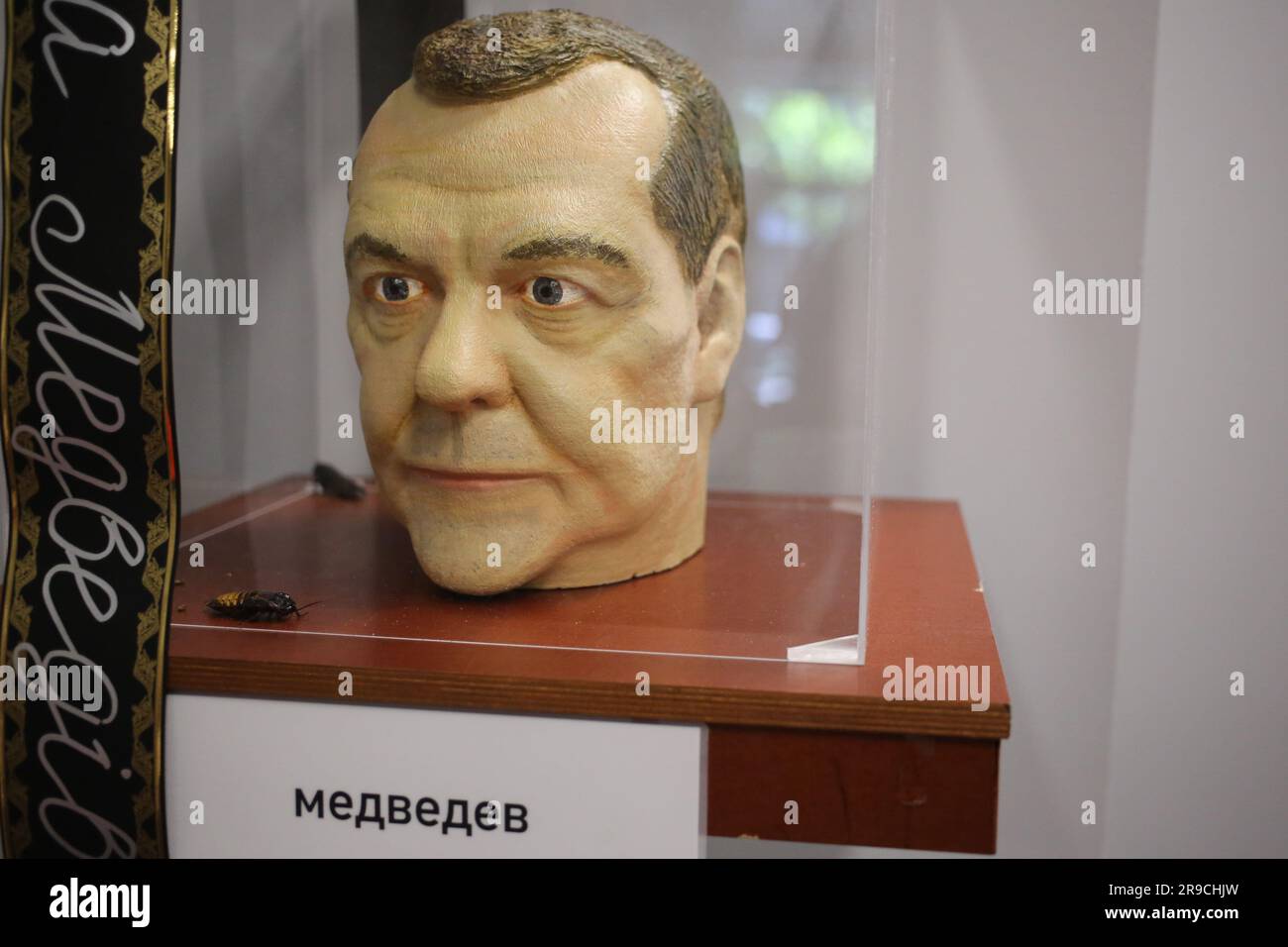 Artificial head of Dmitry Medvedev (Russian statesman and politician) surrounded by Madagascar cockroaches is seen at the exhibition 'Heads' at Uspenskaya 60. Exhibition-performance 'Heads' by Anton Tkachenko opened at Uspenskaya 60. Visitors could look at the artificial heads of the media people of the Russian Federation, surrounded by Madagascar cockroaches, take part in a performance - pour earth into the coffin with Vladimir Putin. The goal is for the visitor to experience disgust for public figures of the Russian Federation. Exhibition-performance 'Heads' by Anton Tkachenko opened at Uspe Stock Photo