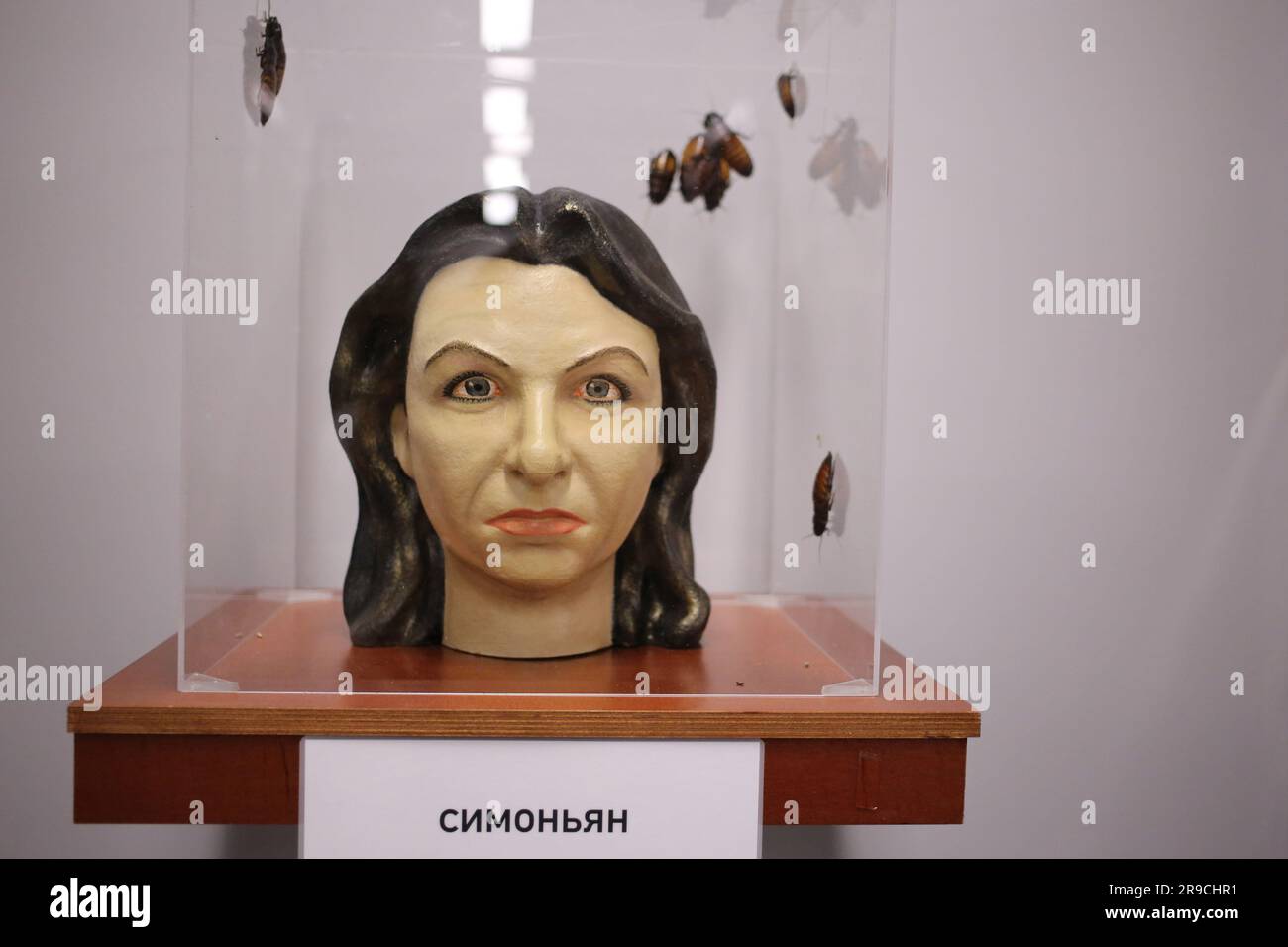 Artificial head of Margarita Simonyan (Russian journalist, media manager, editor-in-chief of the state television channel RT since 2005) surrounded by Madagascar cockroaches is seen at the exhibition 'Heads' at Uspenskaya 60. Exhibition-performance 'Heads' by Anton Tkachenko opened at Uspenskaya 60. Visitors could look at the artificial heads of the media people of the Russian Federation, surrounded by Madagascar cockroaches, take part in a performance - pour earth into the coffin with Vladimir Putin. The goal is for the visitor to experience disgust for public figures of the Russian Federatio Stock Photo