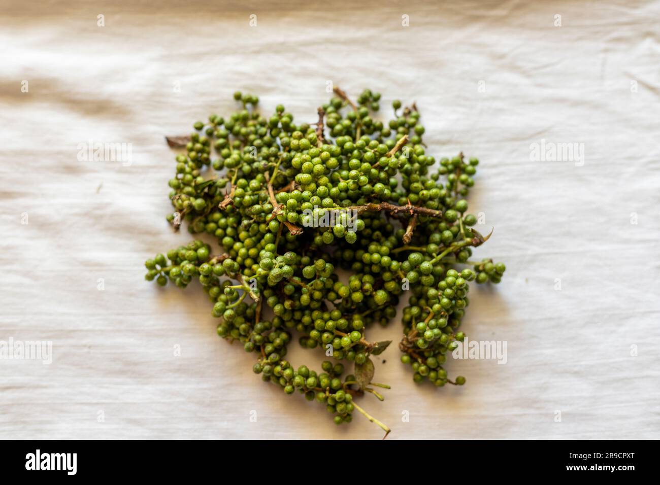 Prickly ash zanthoxylum green pepper berries or dambara seeds Stock Photo