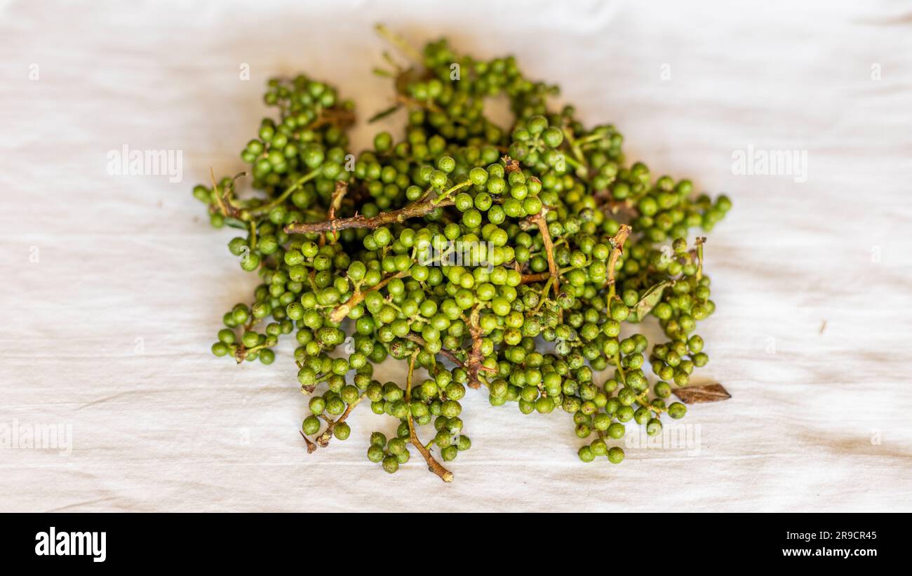 Zanthoxylum green berries that are use in food to add taste and flavor Stock Photo