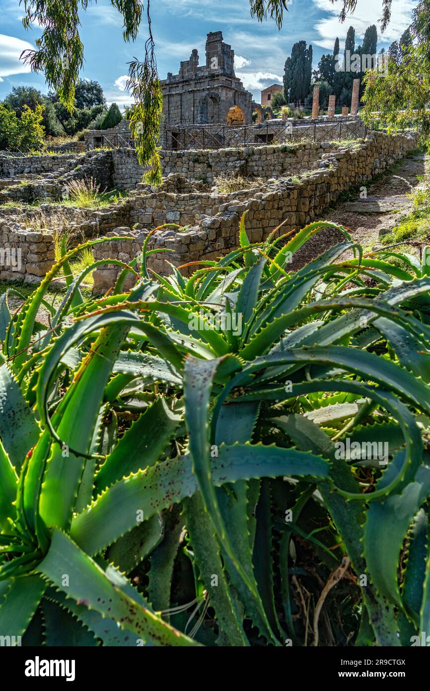 Agave plants decorate the ruins of one of the quarters, Insula IV, of the Archaeological Park of Tindari. Tindari, Patti, Sicily Stock Photo