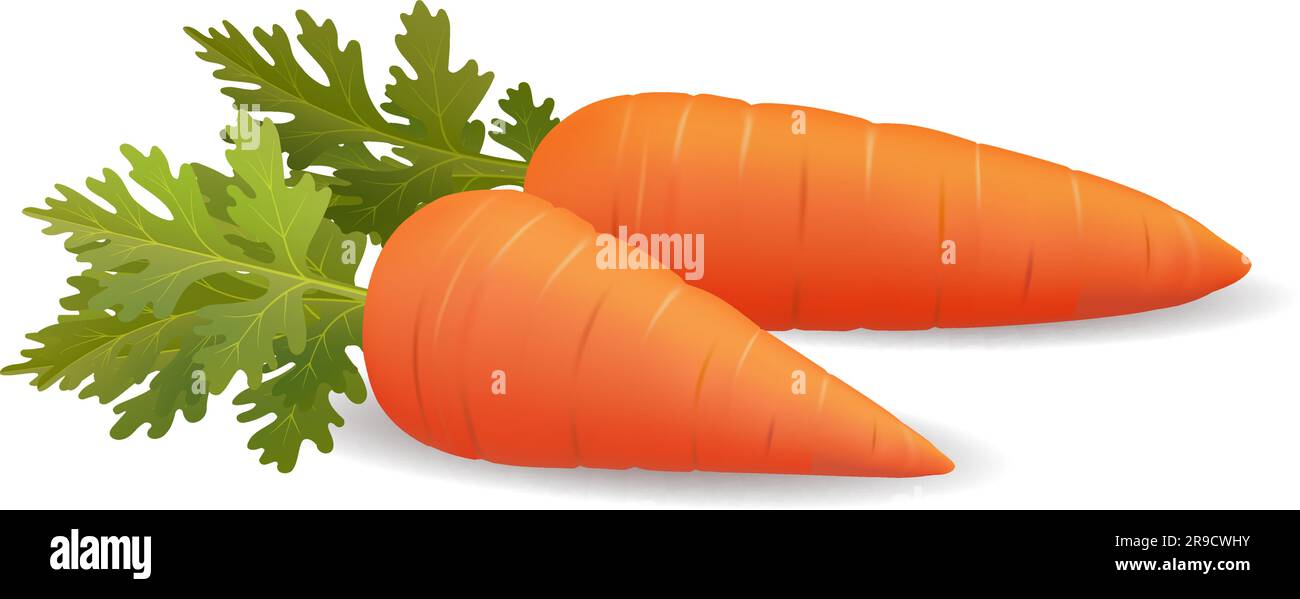 Photo realistic 3d carrot Stock Vector