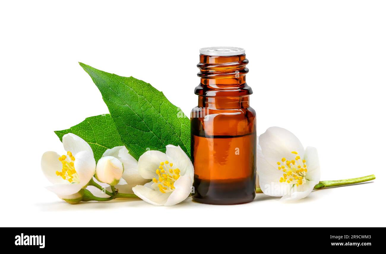 White jasmine flowers with green leaves and brown glass bottle with oil isolated on white Stock Photo