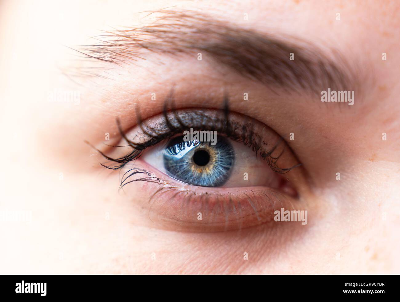 Mesmerizing hues of blue and orange in this captivating eye close-up. Stock Photo