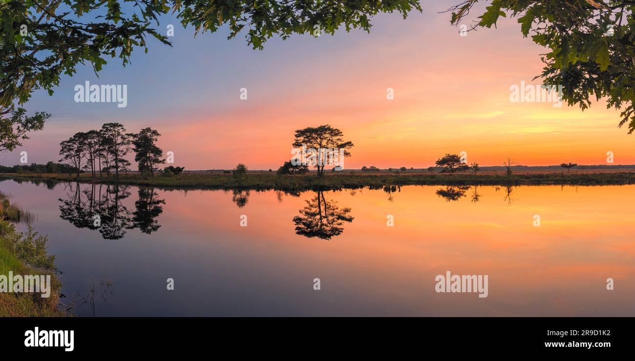 A wide 2:1 panoramic summer sunset at Dwingelderveld National Park, a national park in the Dutch province of Drenthe, roughly located in the triangle Stock Photo