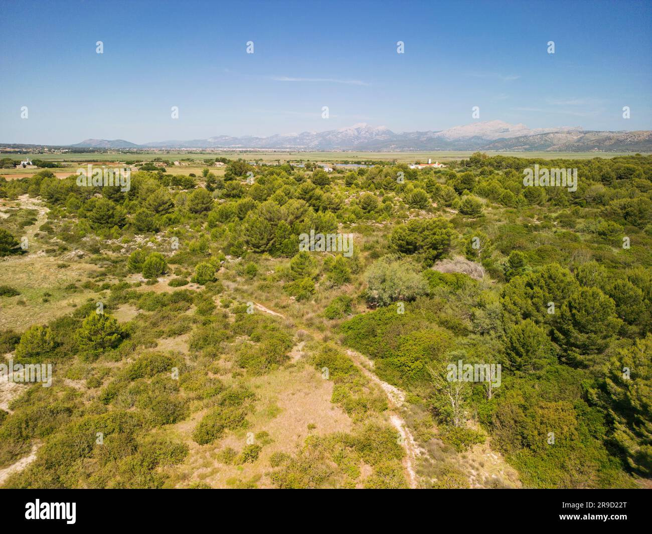 view of nature reserve at Ses Salinetes, S'Albufera, Mallorca, Spain, 17 June 2023 Stock Photo