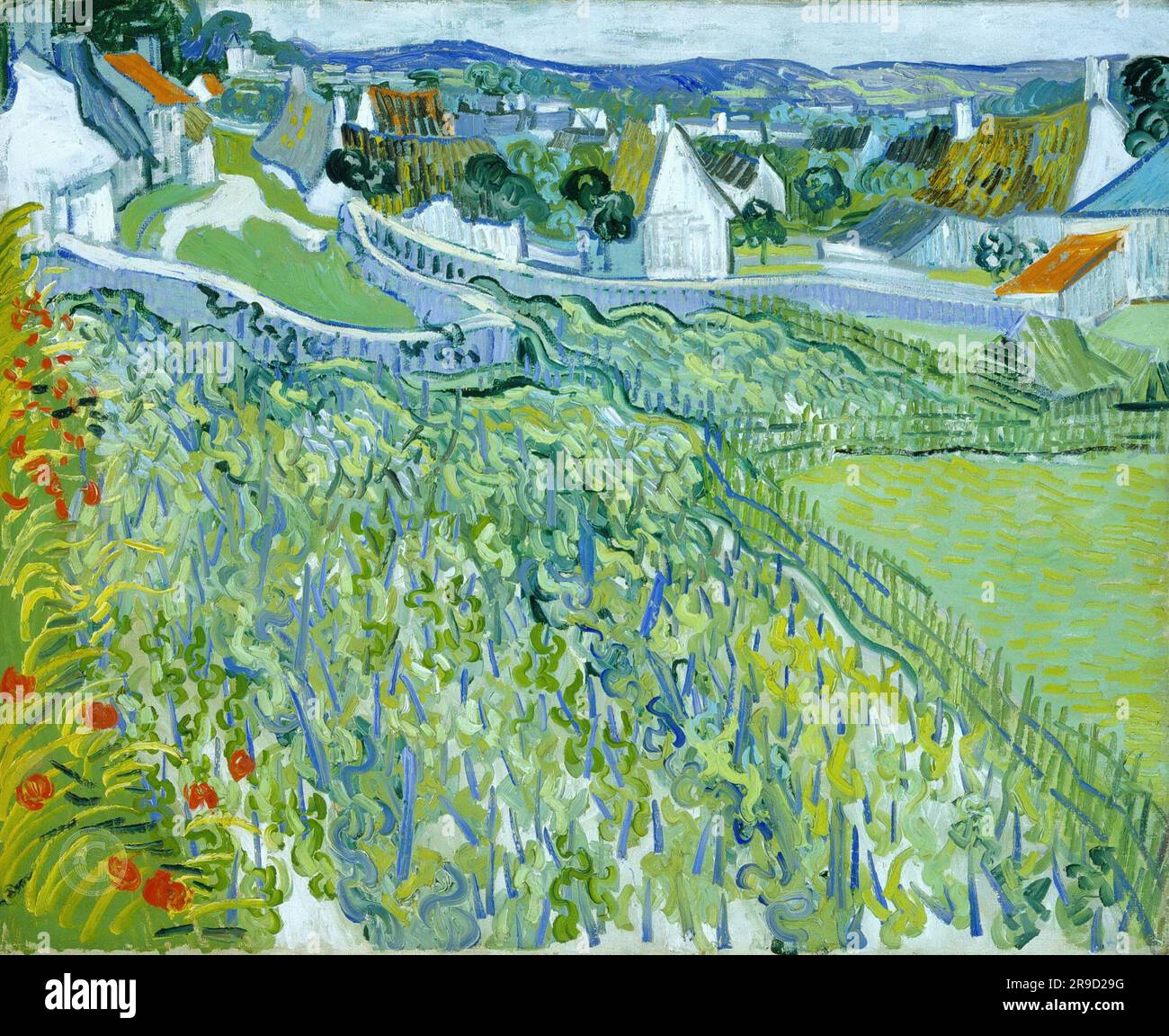 Vincent van Gogh – Vineyards with a View of Auvers Stock Photo