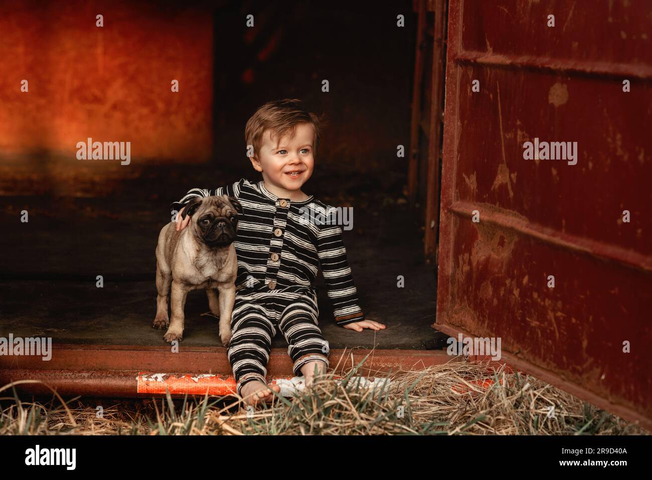 baby boy toddler with a pug puppy sitting down Stock Photo