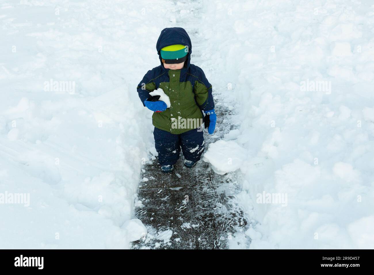 Cold toddler boy walks in shoveled pathway holding a snowball in arm Stock Photo Alamy