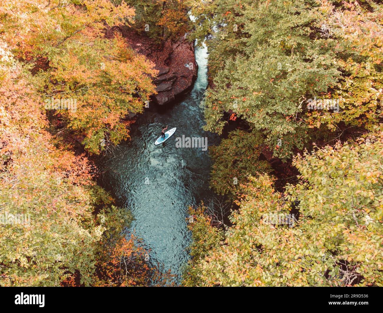 Woman paddle boarding in a fall scene on a clear river Stock Photo Alamy