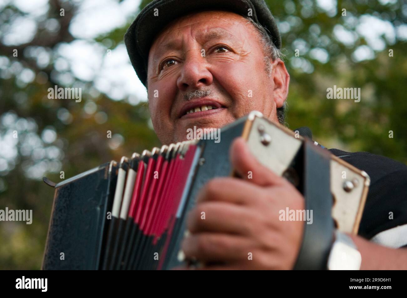 A man plays his accordian at an evening asado. Stock Photo