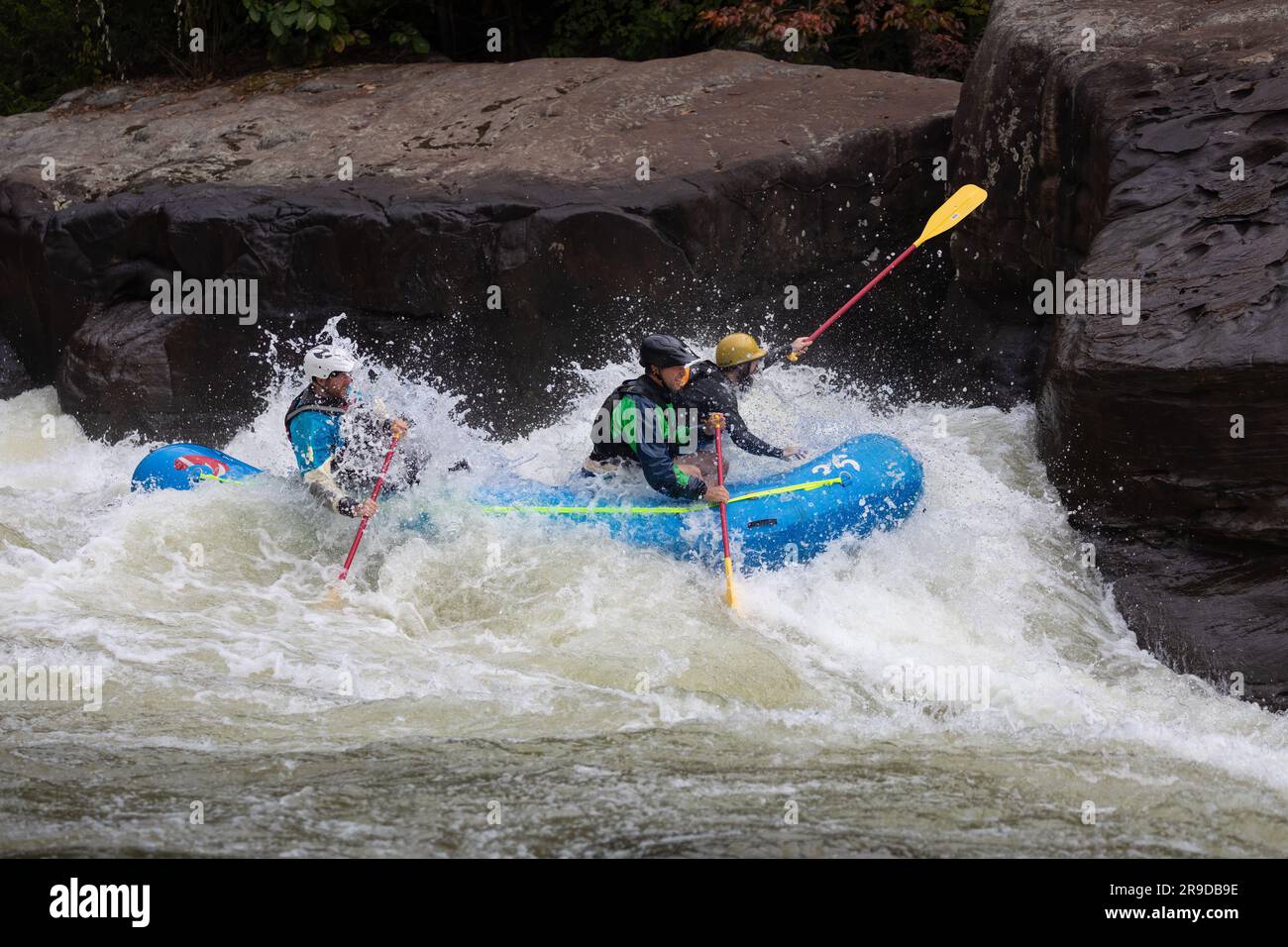 The people in an inflatable boat riding a rushing river's wave. Rafting ...