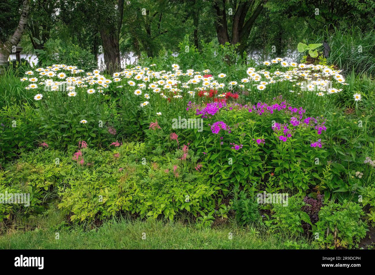 Flower garden with pink astilbe, purple phlox, white daisies and red bee balm or monarda at Munsinger Gardens on the Mississippi River in St Cloud, MN Stock Photo