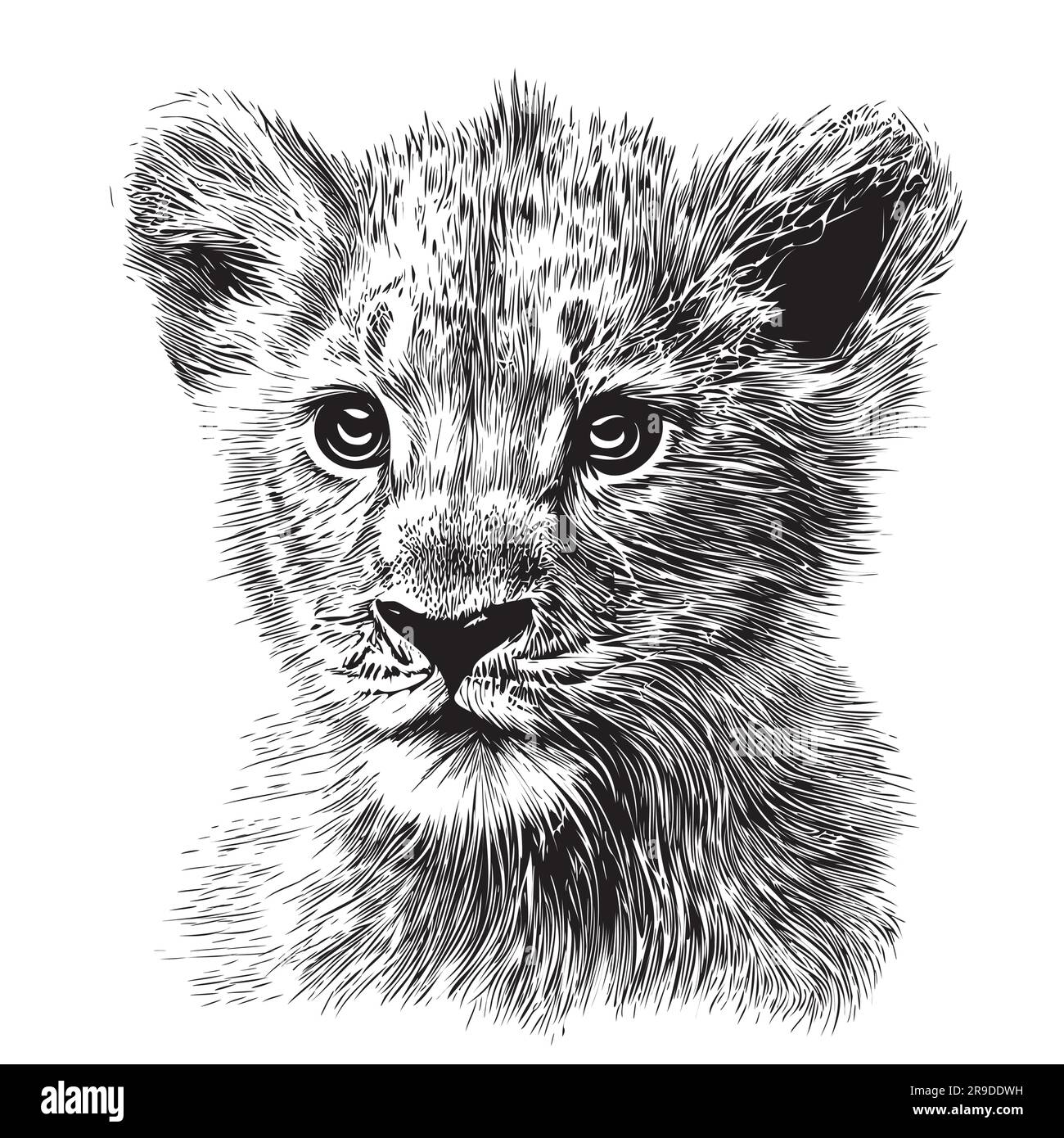 Lion cub head hand drawn sketch in doodle style illustration Stock Vector