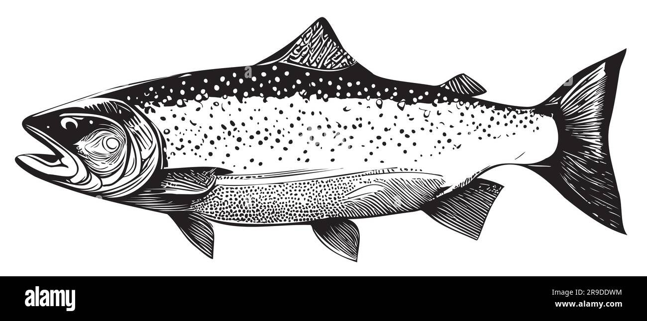 Ribbon fish Black and White Stock Photos & Images Alamy