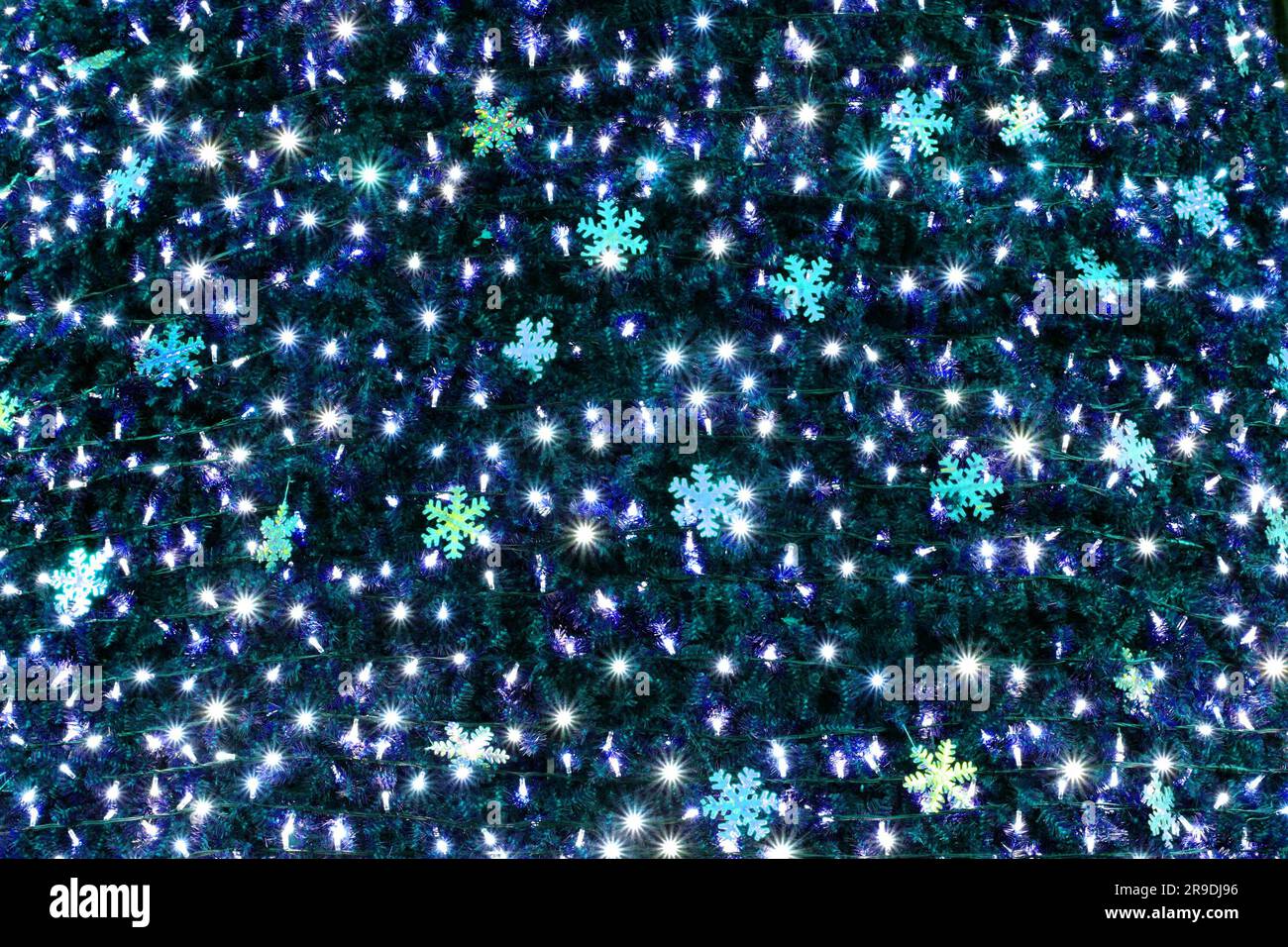 abstract color christmas lights on the black background Stock Photo Alamy