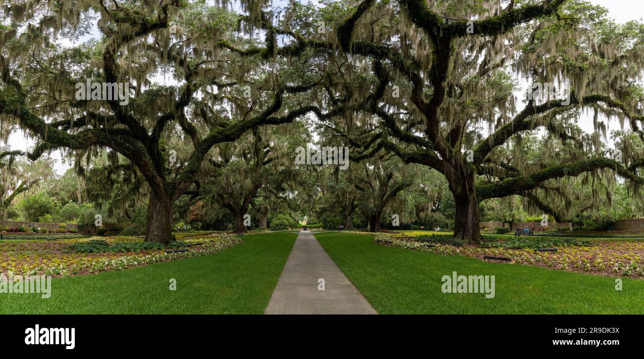 Murrells Inlet, United States 21 June, 2023 panorama landscape view