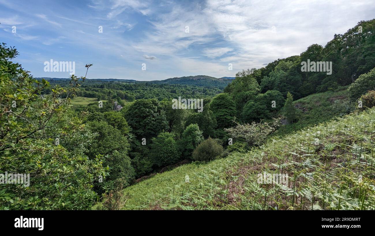 Lake District Landscape around Ambleside, Windemere and Grasmere water meadow with wildflowers