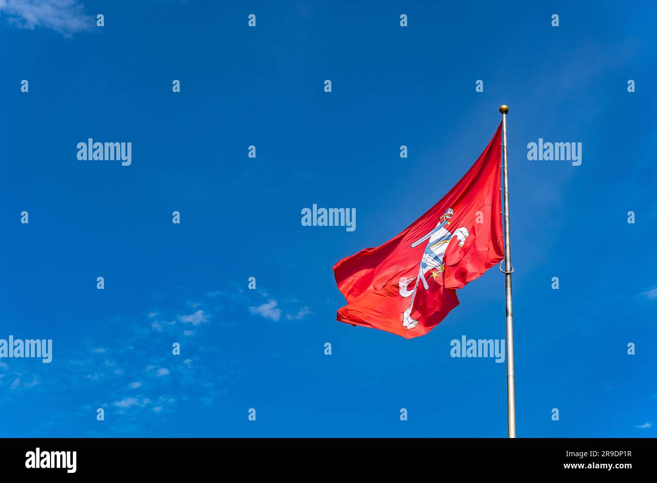Lithuanian historical flag and coat of arms. Knight rider with a sword on a white horse on a red flag Stock Photo