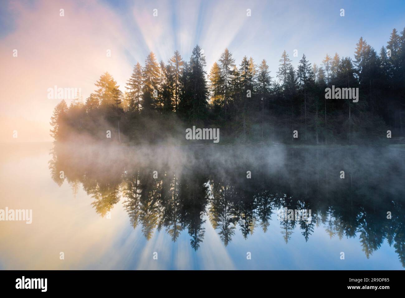 Sunrise over the calm moorland lake Etang de la Gruere in the canton of Jura, Switzerland Stock Photo