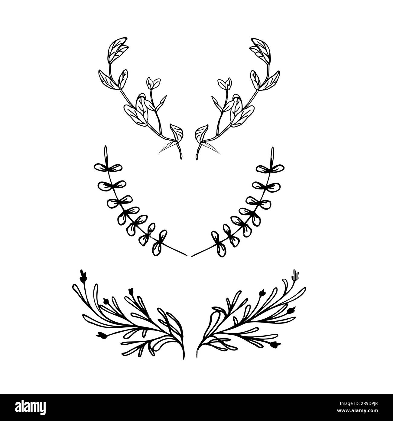 Greenery hand drwan elements for design Stock Vector Image & Art - Alamy