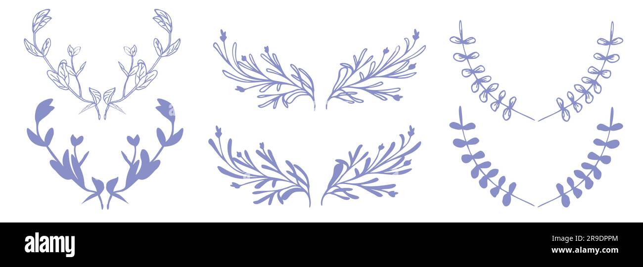 Greenery hand drwan elements for design Stock Vector Image & Art - Alamy