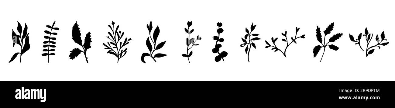 Greenery hand drwan elements for design Stock Vector Image & Art - Alamy