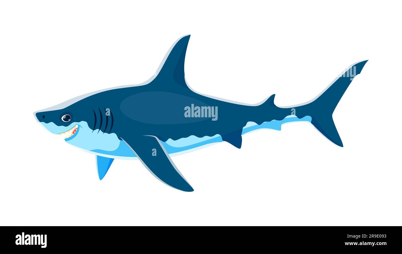 Shark character, powerful and magnificent sea animal with streamlined sleek body, sharp teeth, and incredible swimming abilities. Isolated cartoon vector apex predator living in the oceans Stock Vector