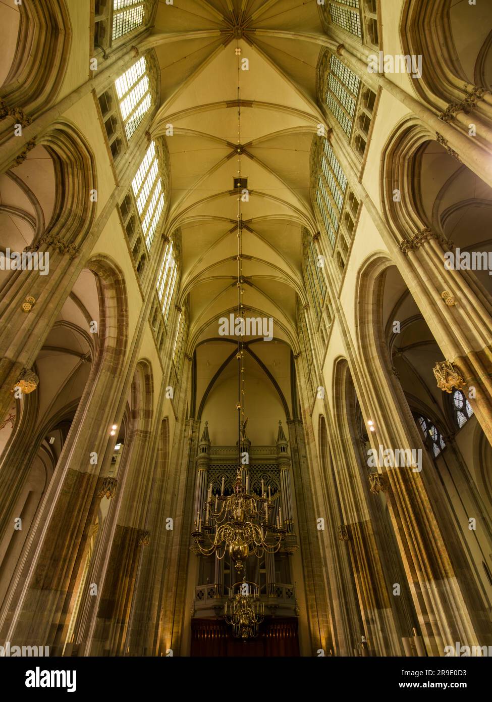 The ceiling St Martin's Cathedral in the historic inner city of Utrecht, Netherlands, Europe. Stock Photo