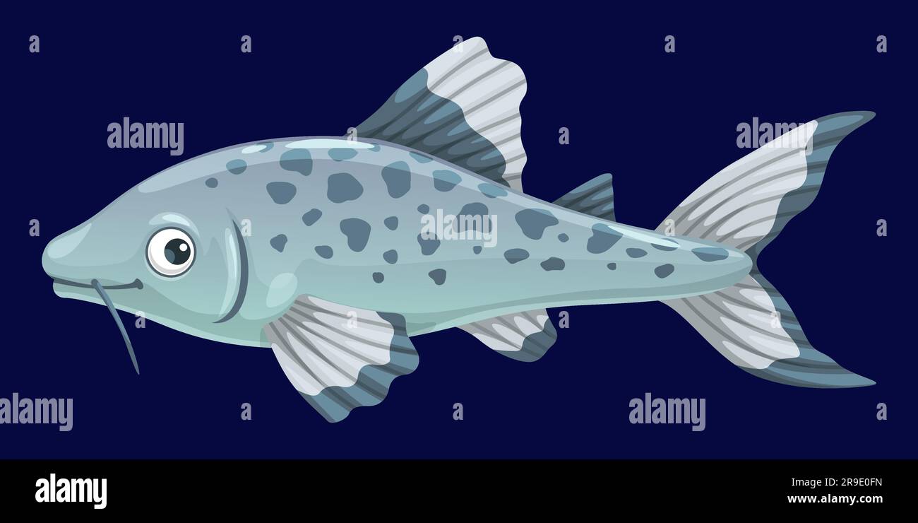 Aquarium catfish, isolated cartoon vector freshwater creature with sleek spotted body, whisker-like barbels and peaceful nature. Exotic and captivating phractocephalus hemioliopterus underwater animal Stock Vector