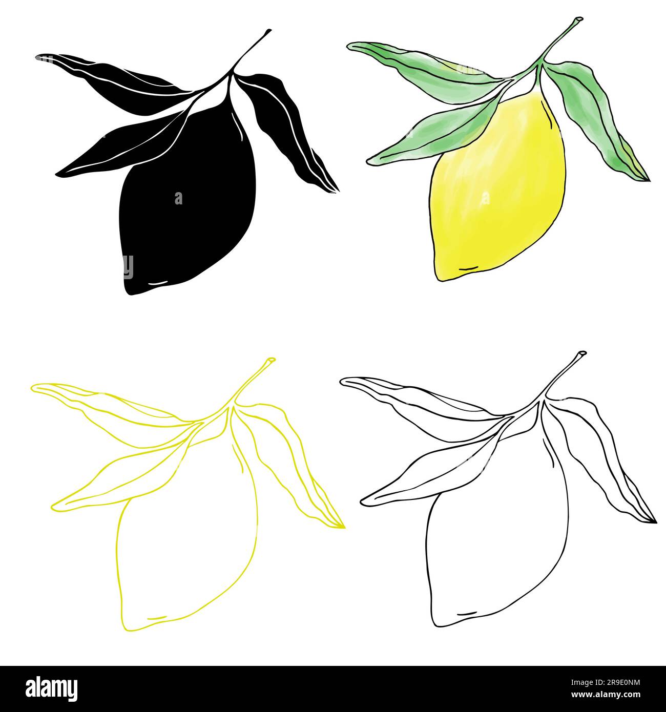 vector illustrations of lemons and leaves for banners, cards, flyers ...