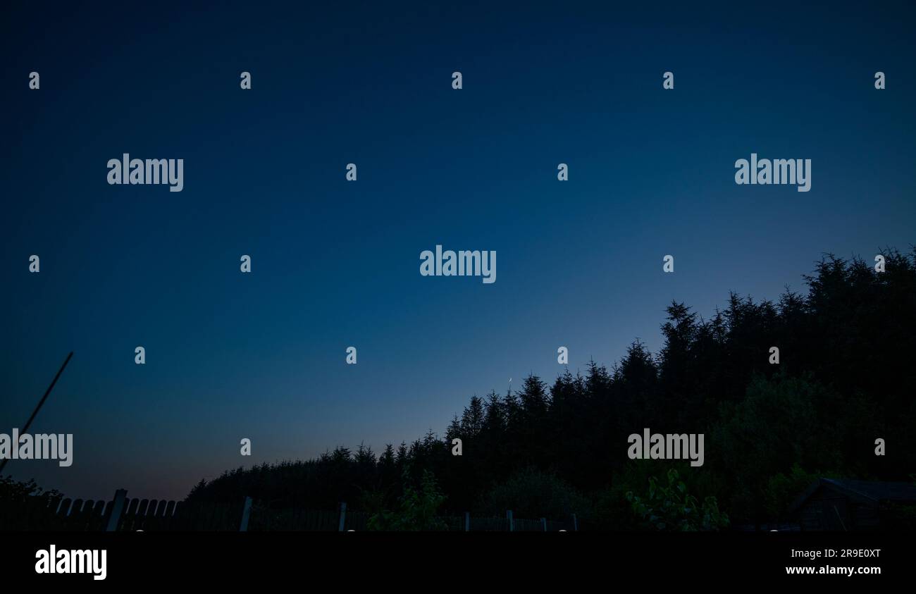 Twilight sky over treetops with deep blue night sky copy space Stock Photo