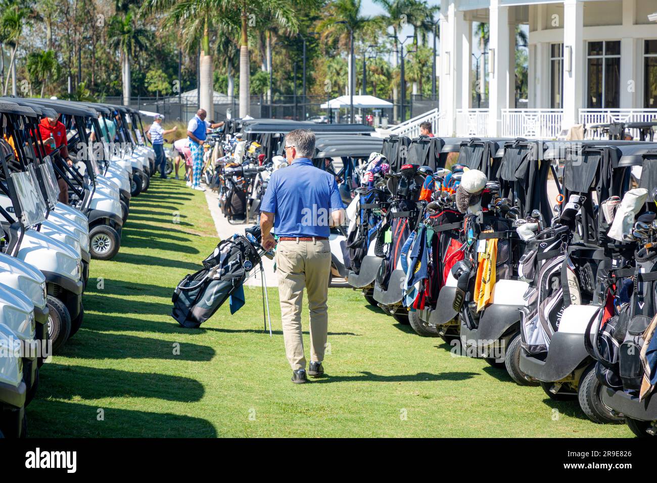 Prepping for golf tournament, Quail Creek Country Club, Naples, Florida, USA Stock Photo