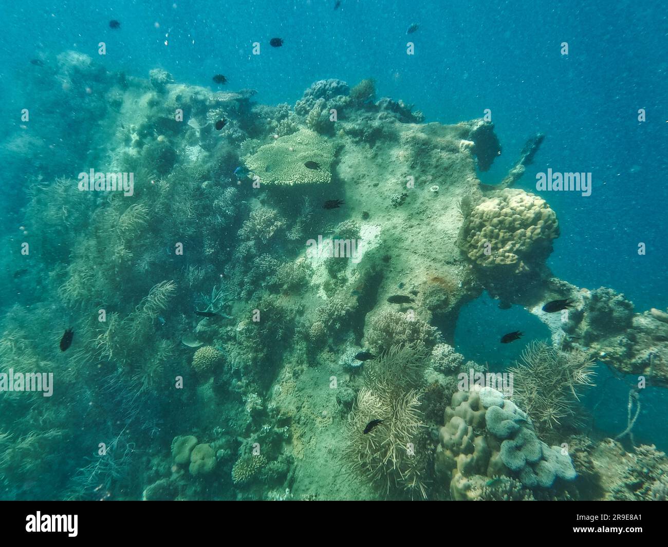 Japanese shipwreck, Coron islands, Palawan, Philippines, Asia Stock