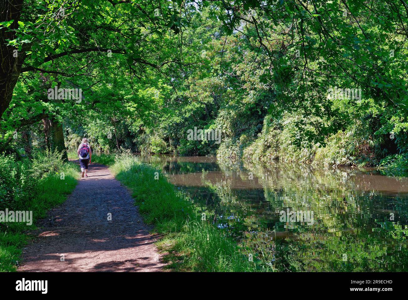 Rear view of a woman walking on the towpath by the River Wey Navigation canal near Pyford on a sunny summers day Surrey England UK Stock Photo