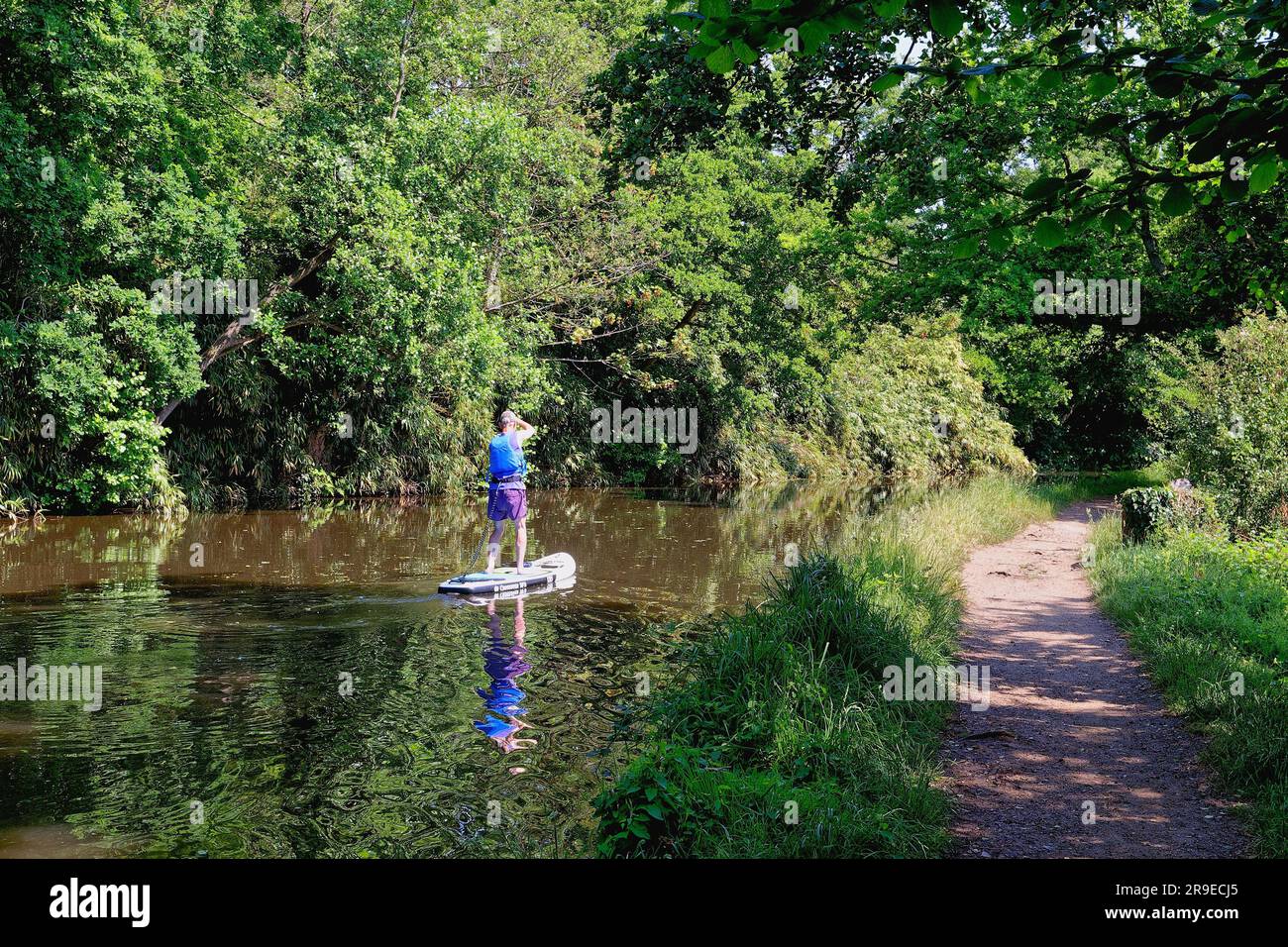 A middle age man paddle boarding on the River Wey navigation near Pyrford on a calm sunny summers day Surrey England UK Stock Photo