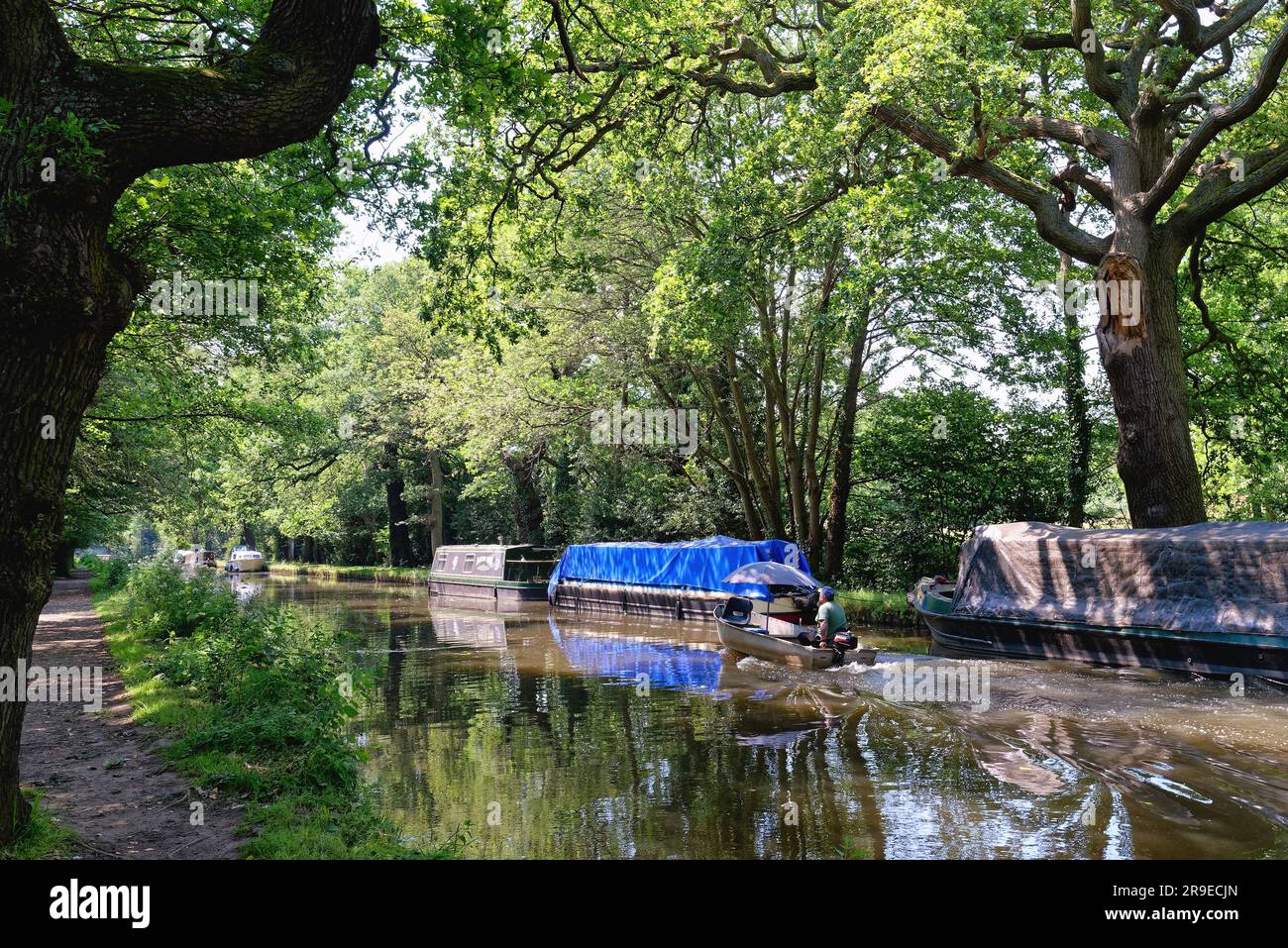A small boat with outboard motor cruising along the River Wey navigation canal at Pyrford on a sunny summers day, Surrey England UK Stock Photo