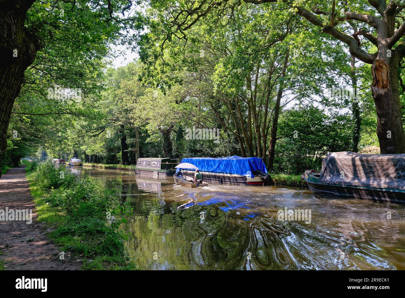 A small boat with outboard motor cruising along the River Wey navigation canal at Pyrford on a sunny summers day, Surrey England UK Stock Photo