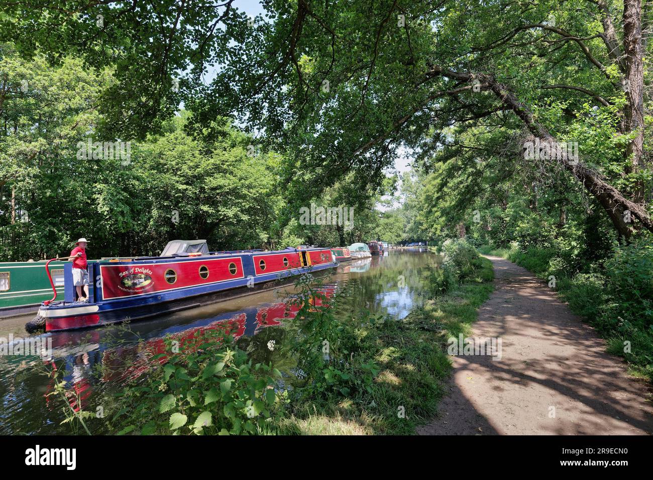 A narrow boat travelling on The River Wey navigation canal near Pyrford on a sunny summers day Surrey England UK Stock Photo
