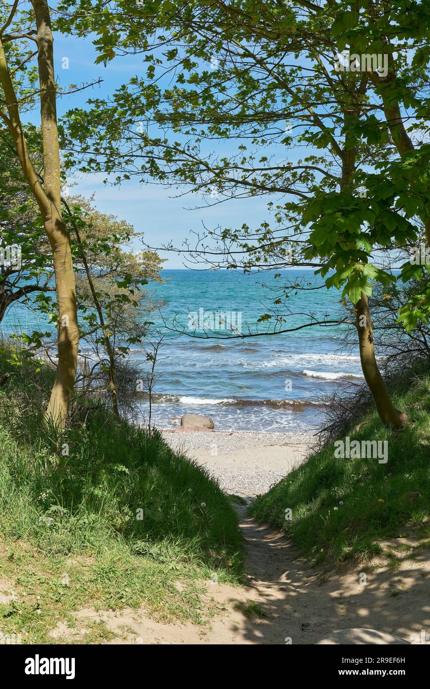 Path to the Baltic Sea beach between the towns of Kühlungsborn and ...