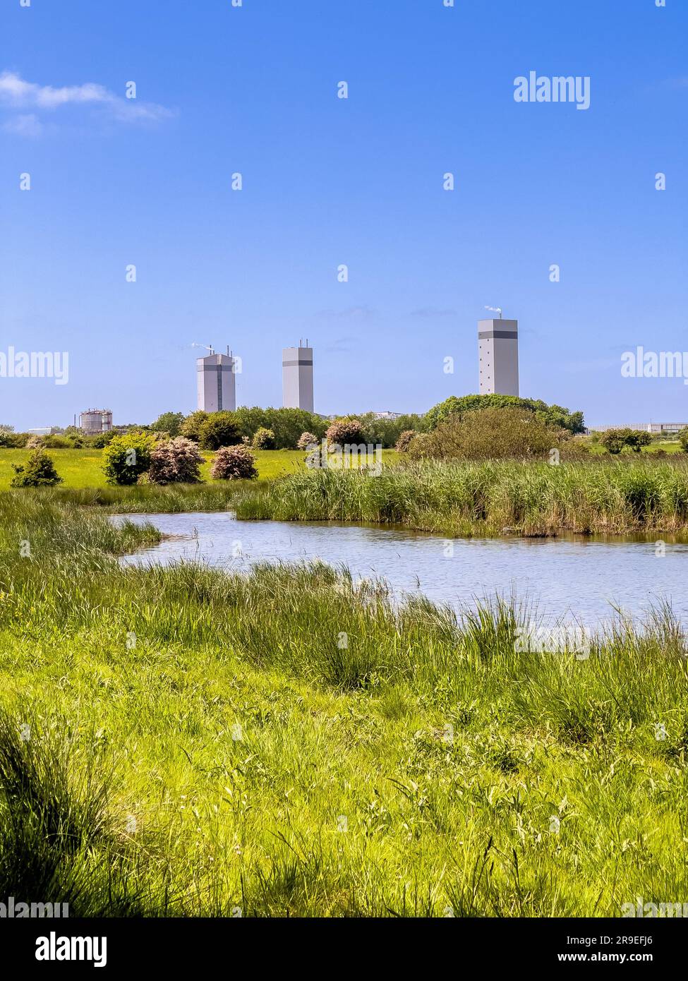 Saltholme nature reserve with the modern towers of the Quorn food