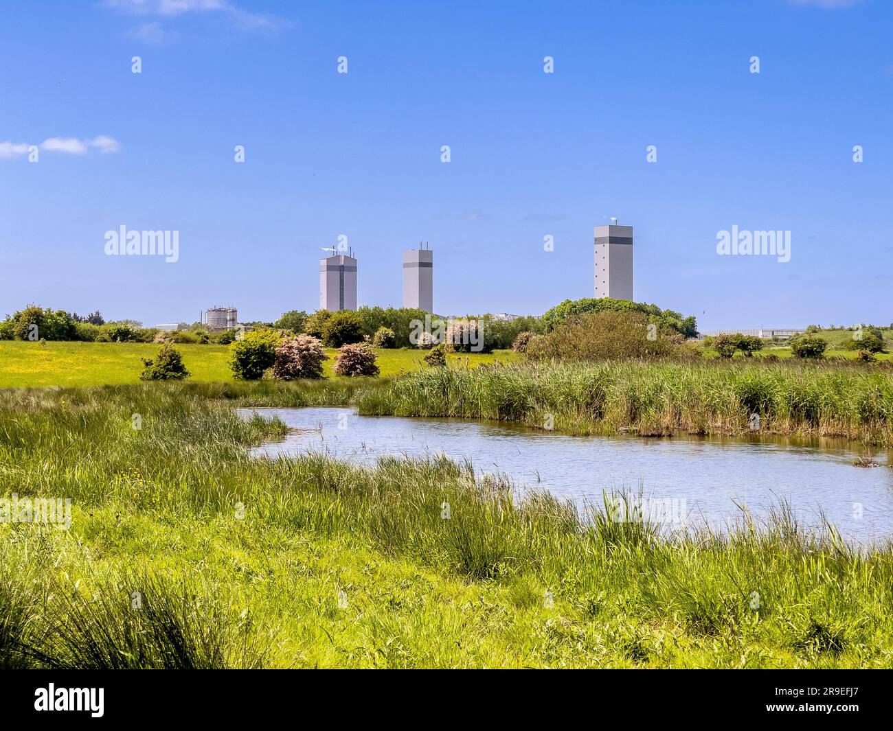 Saltholme nature reserve with the modern towers of the Quorn food factory in the distance ...