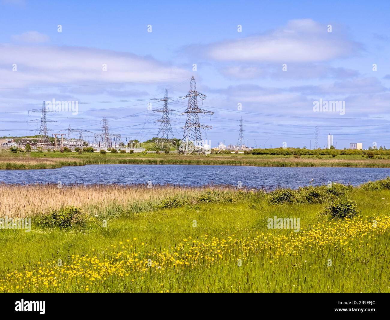 Pylons at the National Grid Salthome Substation with nature reserve and