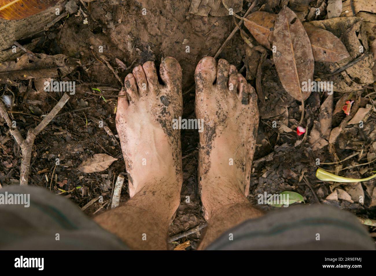 Dirty feet in a muddy path in the Peruvian jungle Stock Photo Alamy