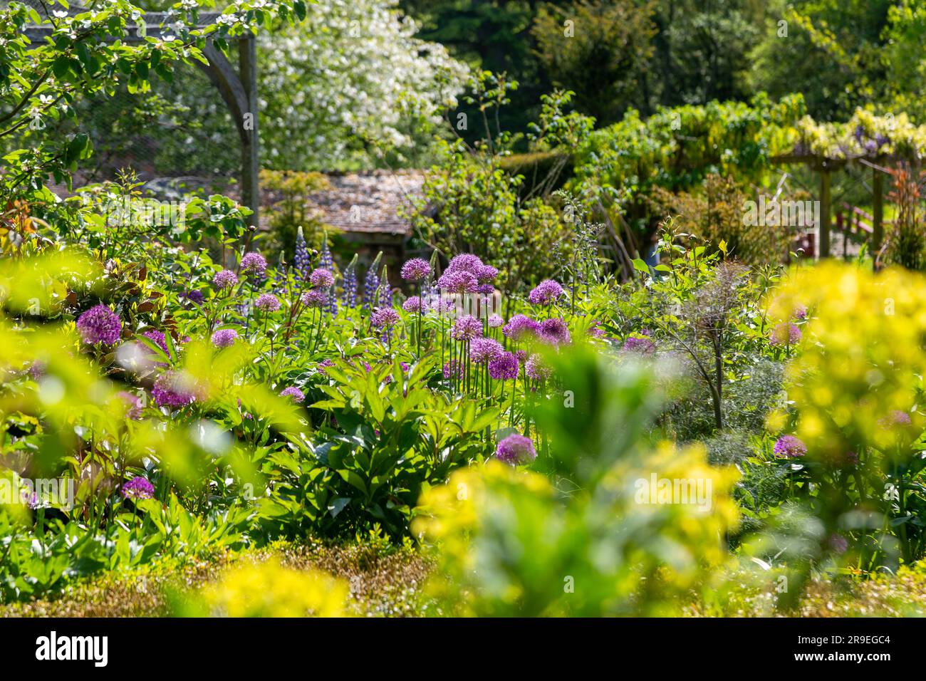 Heale House and gardens, Middle Woodford, Salisbury, Wiltshire, England, UK Stock Photo