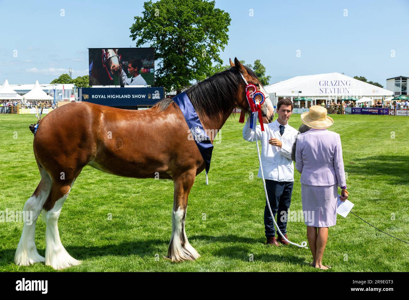 A winning shire horse and it's owner being interviewed in the show ring at the Royal Highland Show, Edinburgh, Scotland Stock Photo