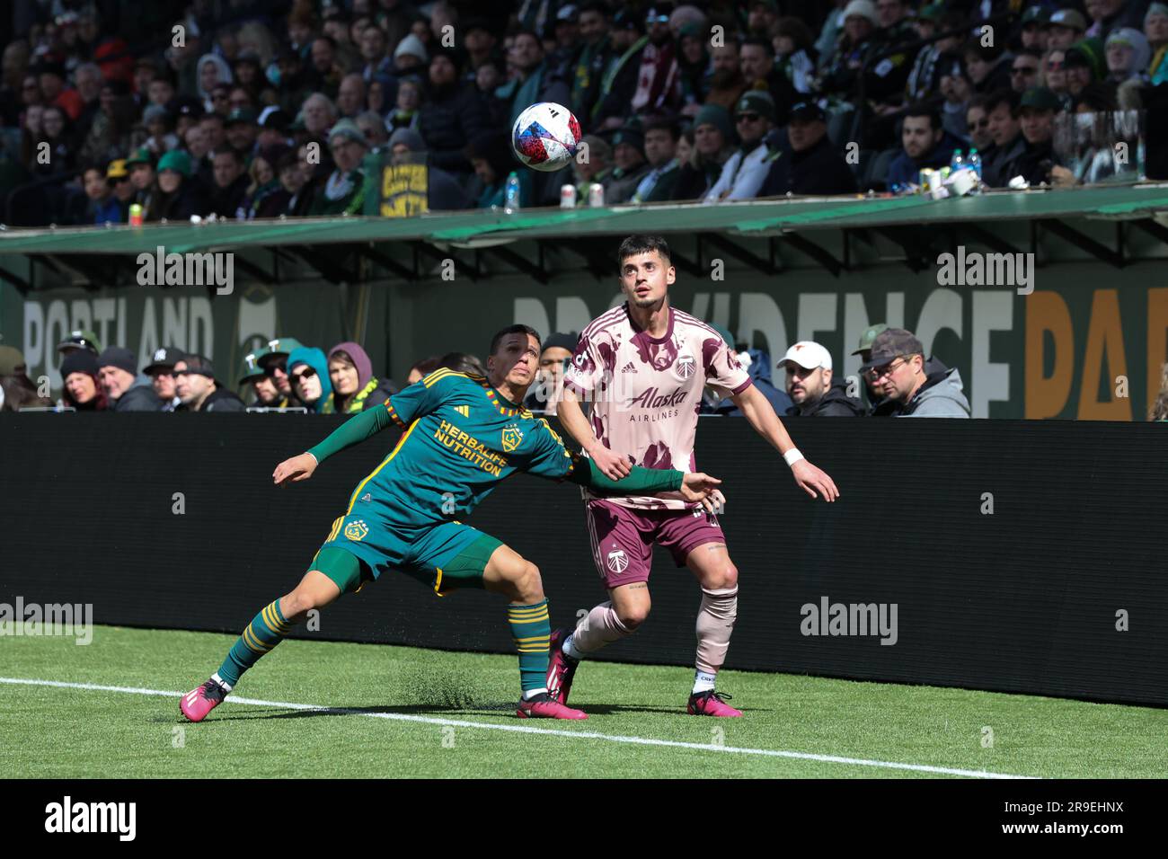 Calegari hires stock photography and images Alamy