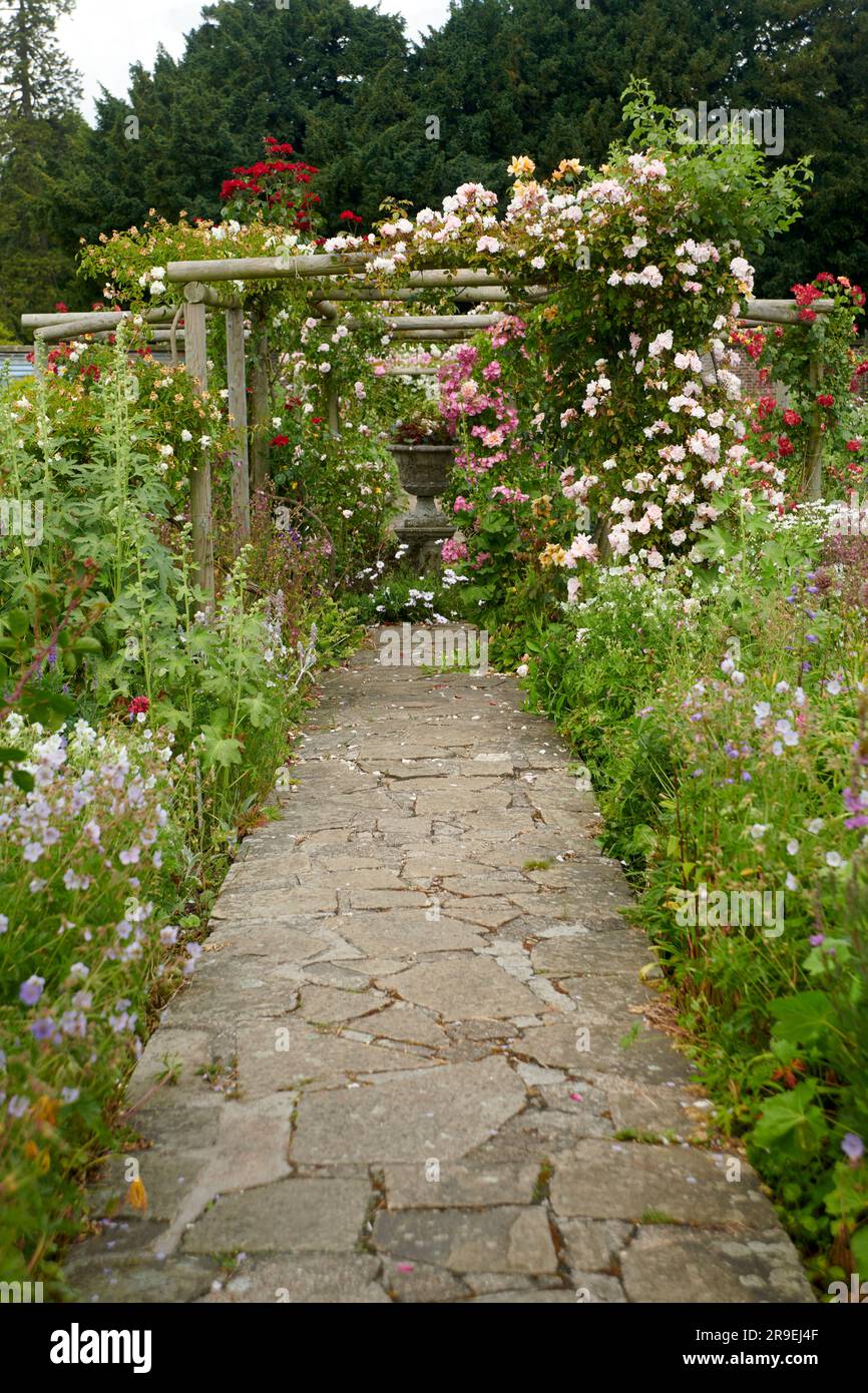 Wooden Trellis or Pergolas covered with flowering climbing Rose and ...