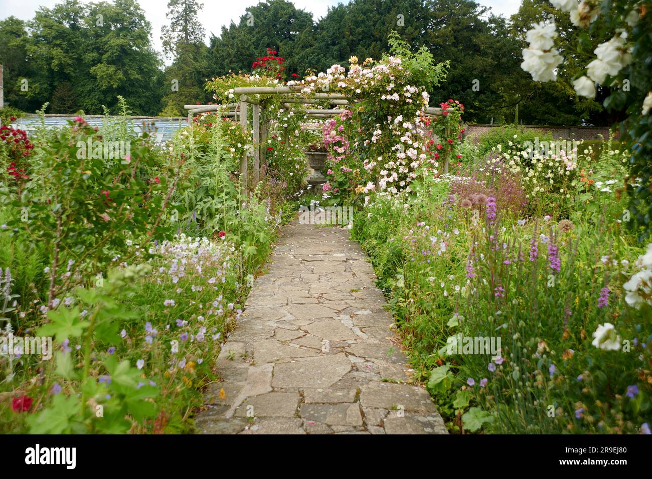 Wooden Trellis or Pergolas covered with flowering climbing Rose and ...