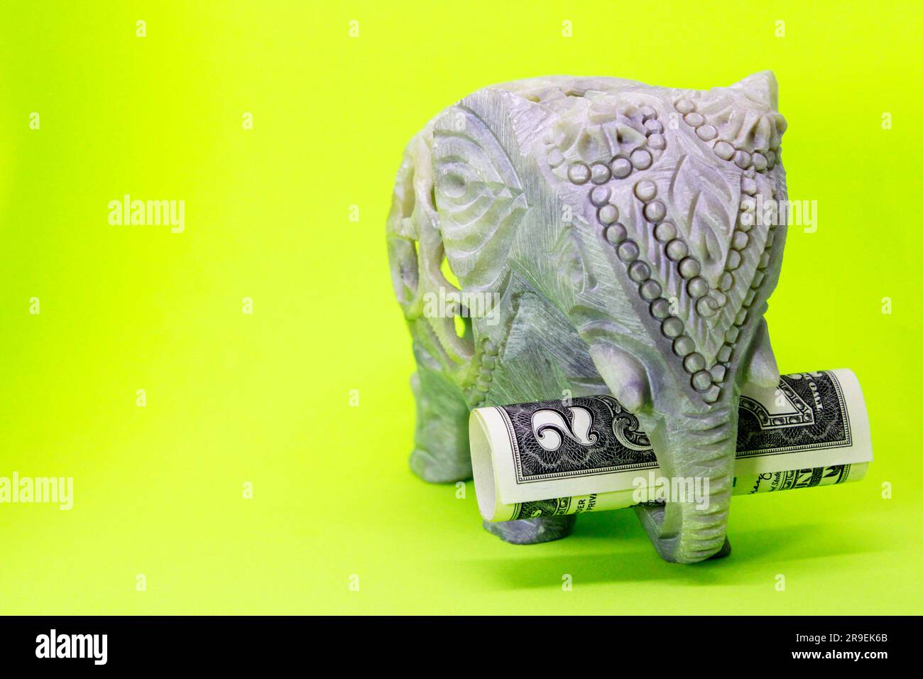 Financial luck, elephant holding 2 dollar bill in its trunk Stock Photo